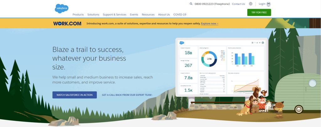 SalesForce Call To Action