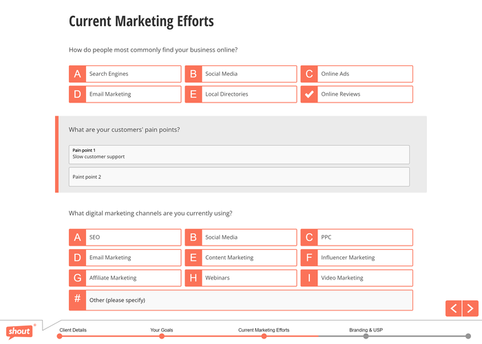 Example Of A Digital Marketing Client Questionnaire Created With Shout.com